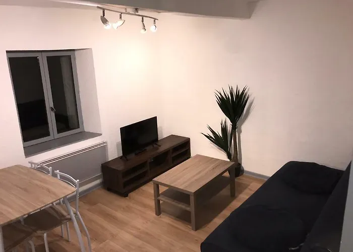 דירה Proche Cite Medievale 4 Pers קרקסון